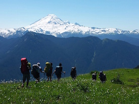 Backpacking Course Mt Baker Yellow Aster Butte Smal
