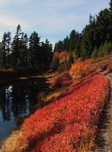 A trail winds by a calm alpine lake in autumn.